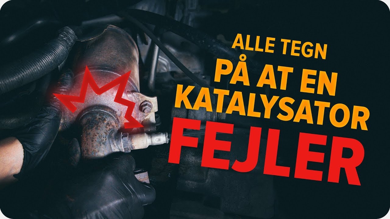 Hvordan man kontrollerer en katalysator | AUTODOC tips