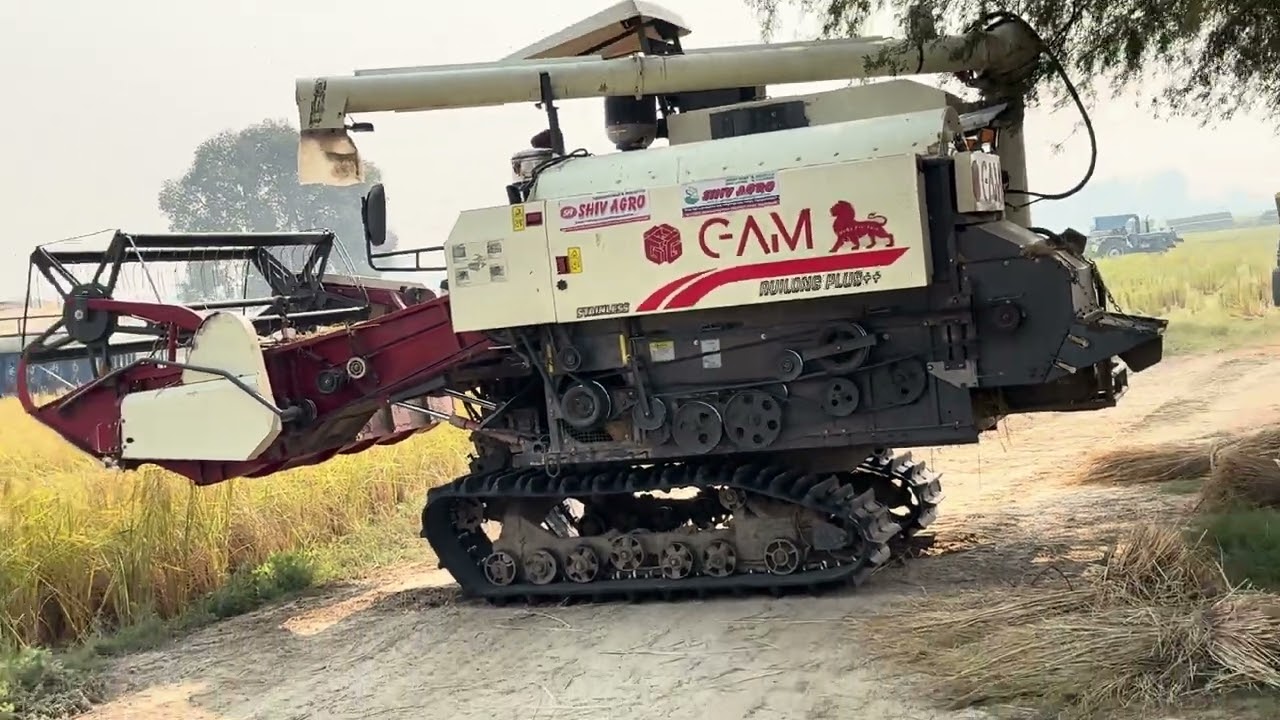 Aj gya apna khet ma 🌴🌾