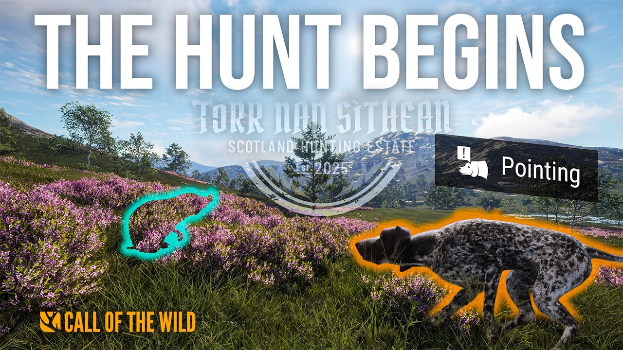 The Haggis Hunt Continues on Torr Nan Sithean! (Shorts)