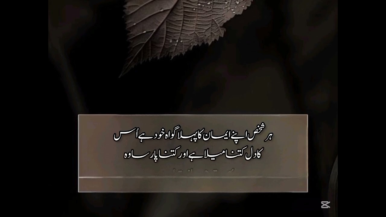 Aqwal e zreen#urdu aqwal#goldenaqwal