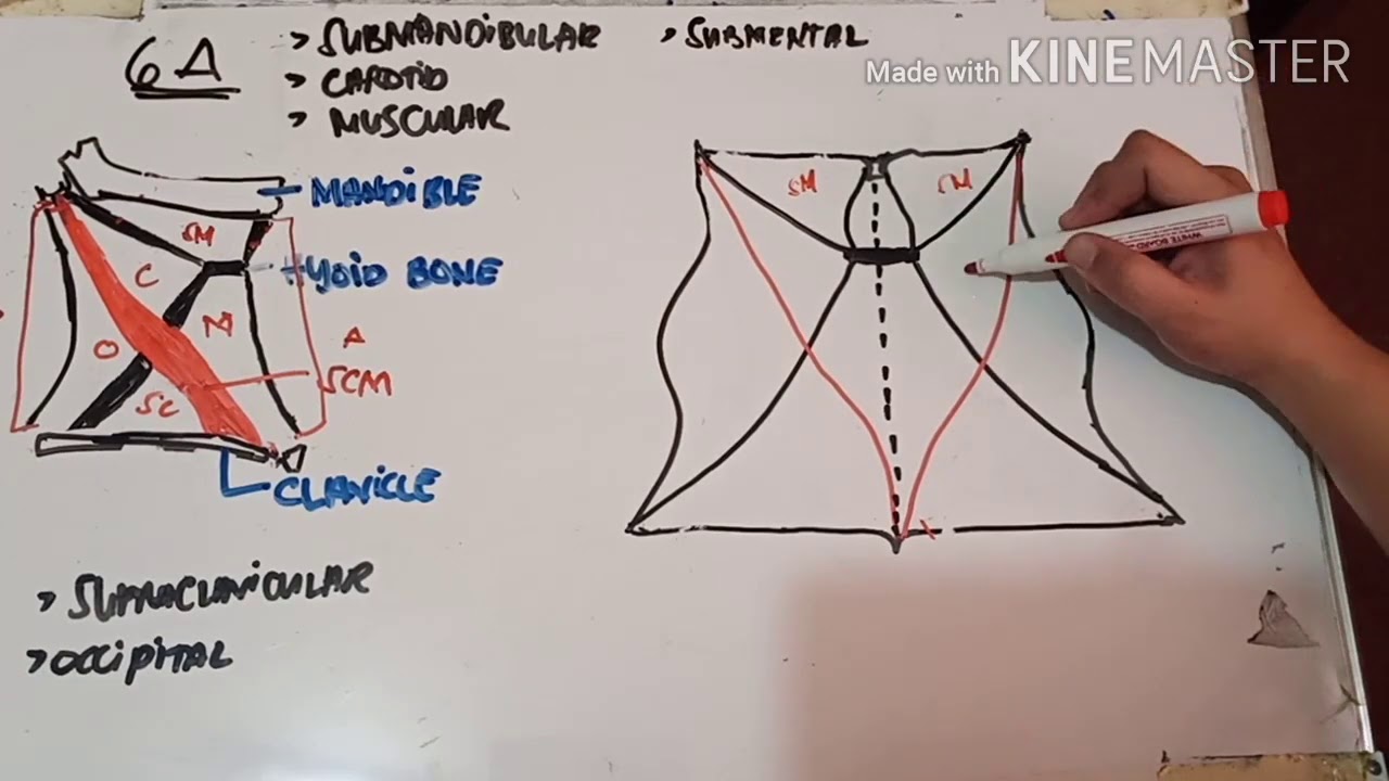 Triangles of Neck Made Easy ;)