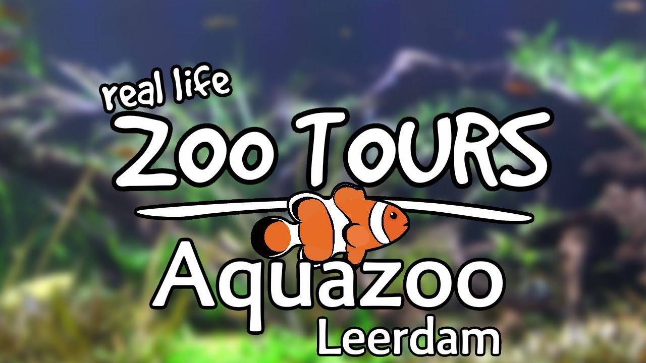 Aquazoo Leerdam, best aquarium education ever! | Real Life Zoo Tours