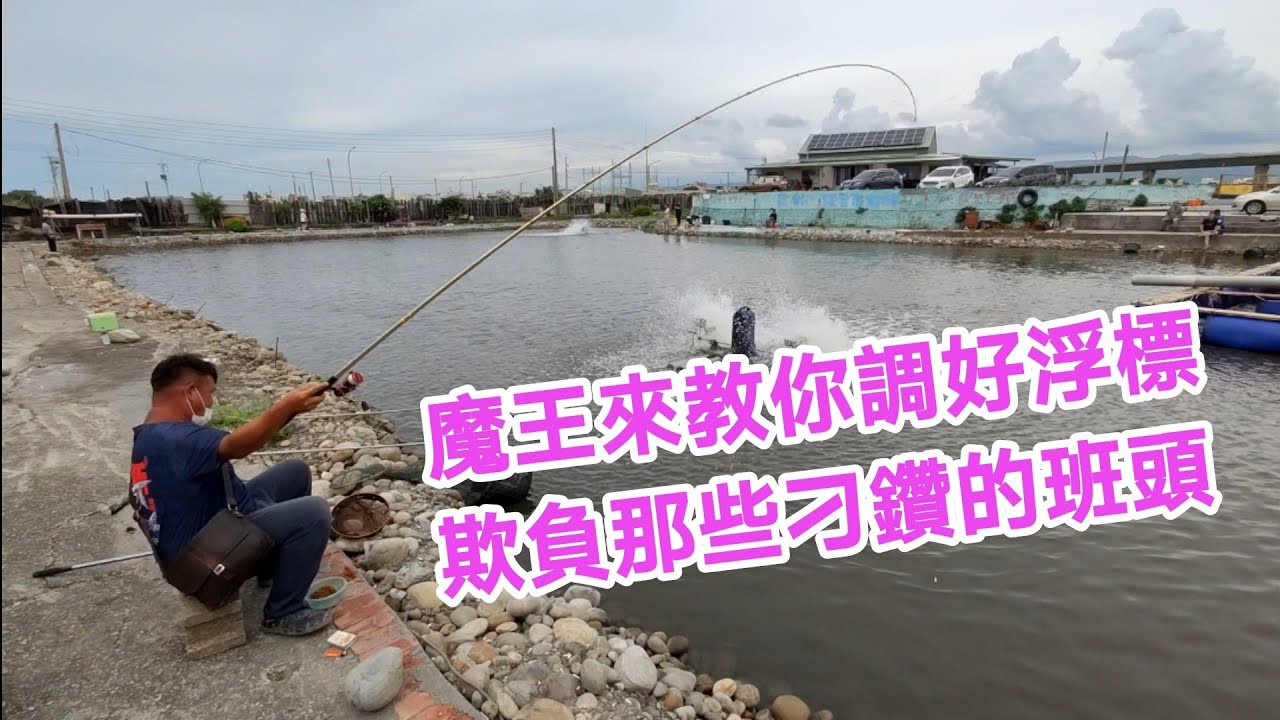 【海釣場之章】鯛科魚類要釣的好，那就要先把浮標調好！