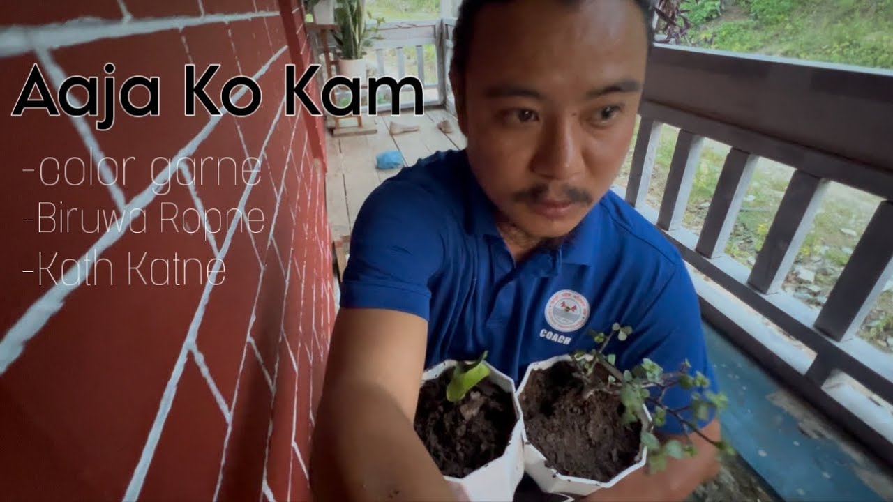 Aaja Ko Din Panting Garne Kath Katne Ani Planting Garne😊||