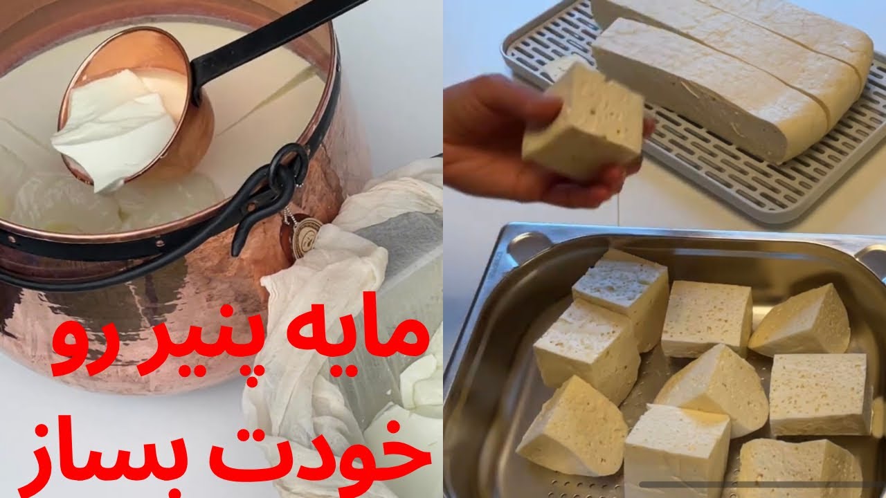 اموزش خشگ کردن شیردان گوسفند🐑 قسمت اول 🧀 اولین قدم  برای پنیر سازی حرفه ای 🧀How to Cure Sheep Rennet