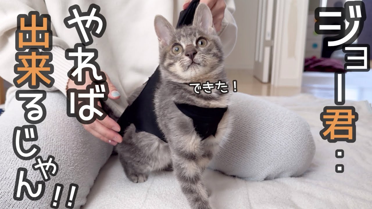 【神回】ジョーとリハビリをしていたら奇跡が起きました！！！