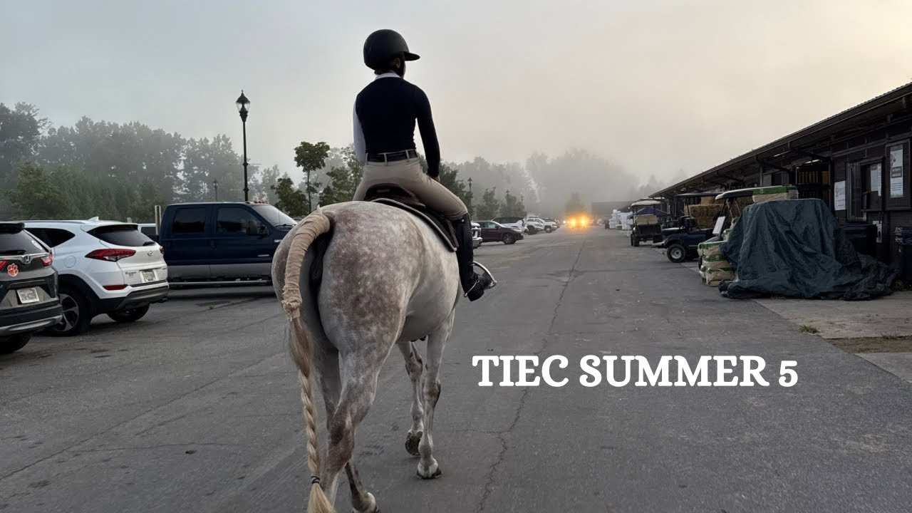 TIEC Summer 5 horse show vlog!
