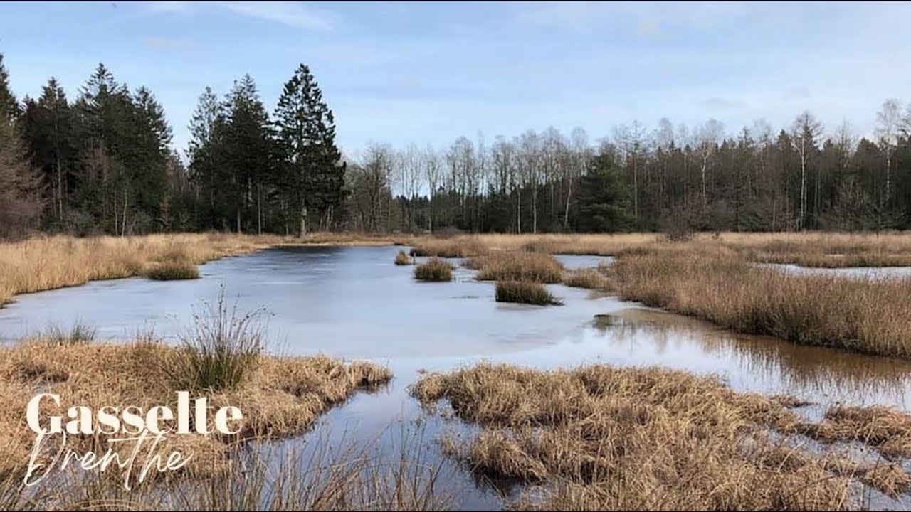 Drenthe - The Netherlands
