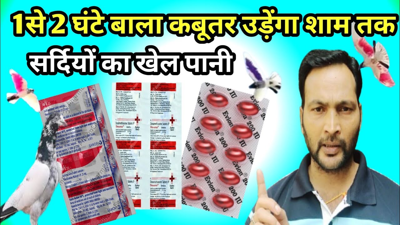 1से 2 घंटे बाला कबूतर उड़ेंगा शाम तक ! कबूतर को उड़ाने वाला नुस्खा !Sardiyo ka khel pani   #pigeon