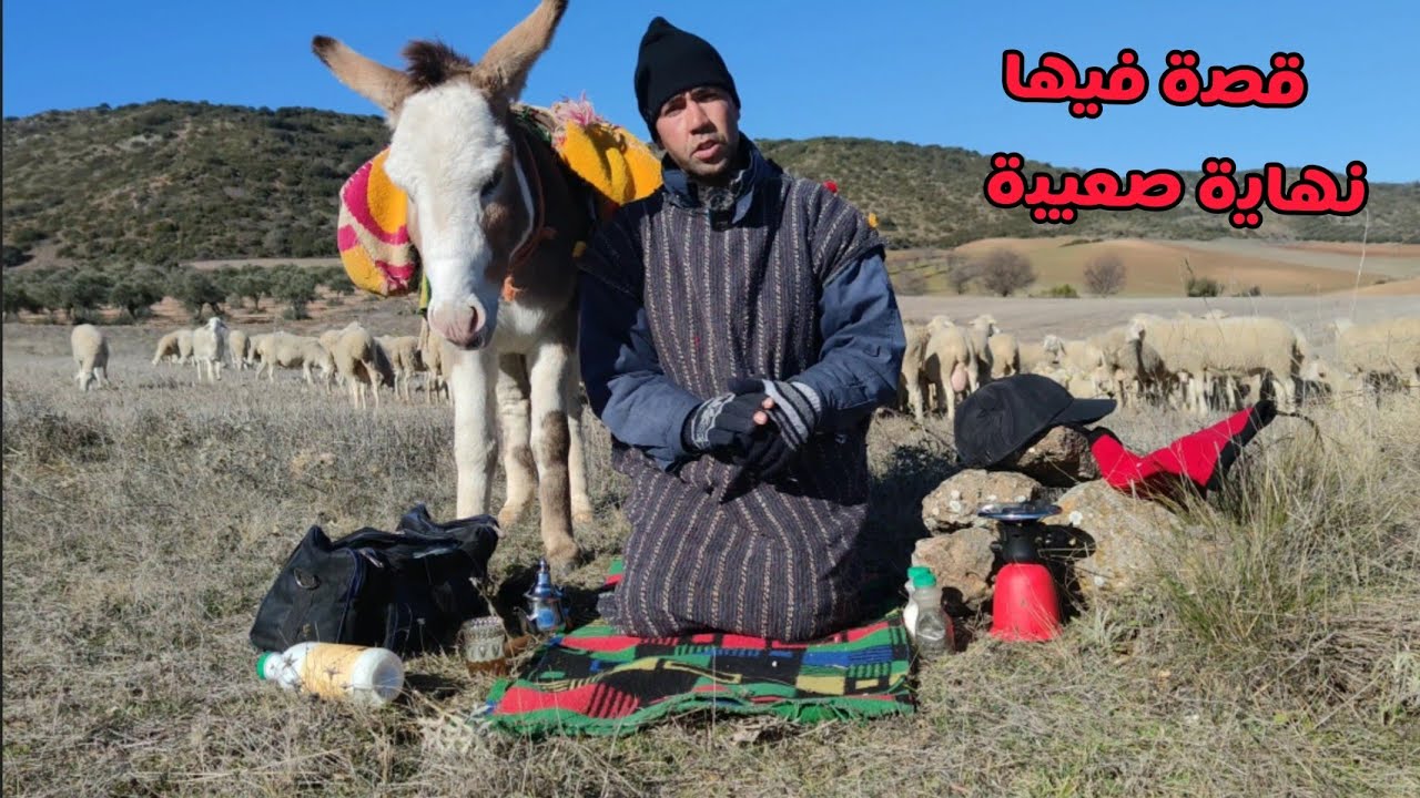 الحلقة 8:قصة فيها نهاية صعيبة وقع ما لم يكن في الحسبان