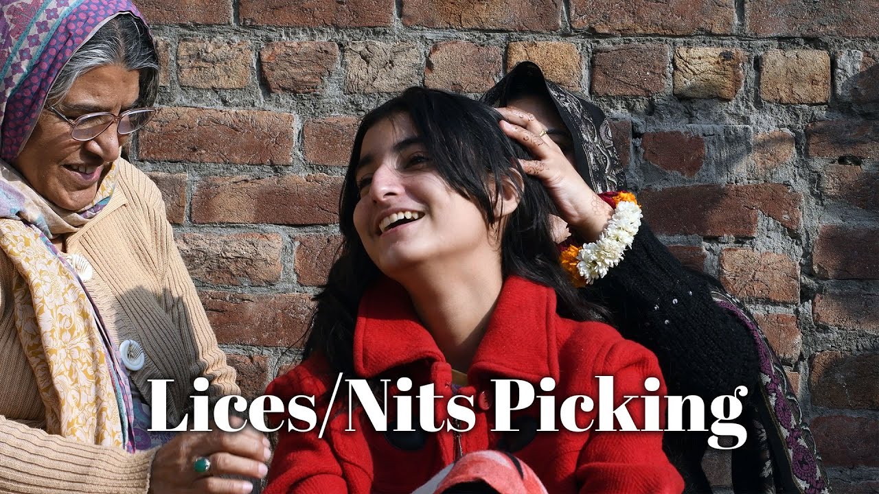 Lice Nits Picking on Young Girls Black SIlky Hairs | ASMR Pakistan