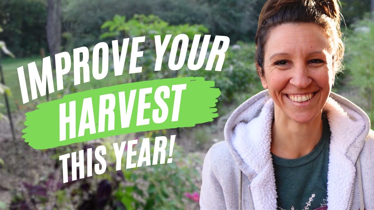 Improve Your Garden Soil with these SIMPLE Tips (Reclaiming the Garden Part 2)
