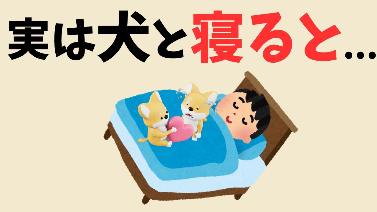 【研究結果】犬と一緒に寝ると起こることが衝撃すぎた...