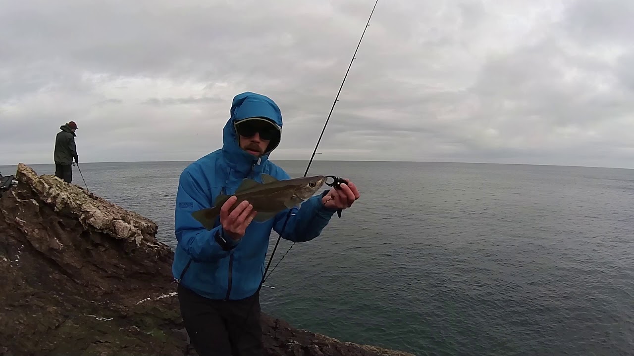 Winter Lure Fishing- Pollack, Coalies, Codling and the Police
