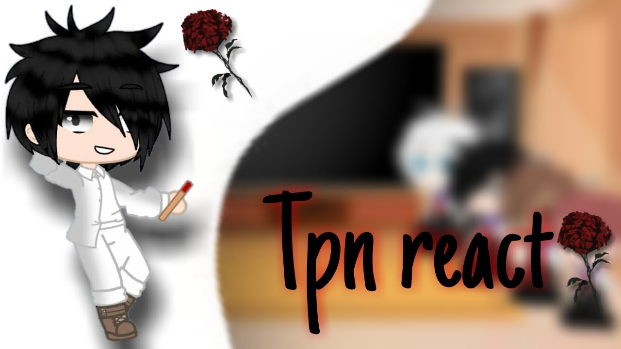 Tpn School au react: a Tiktoks [Norray] 1/?