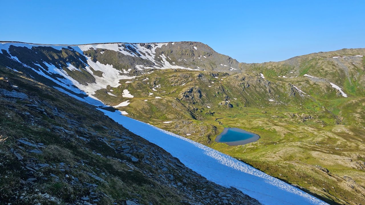 GRUBSTAKE BENCHMARK 07/20/24