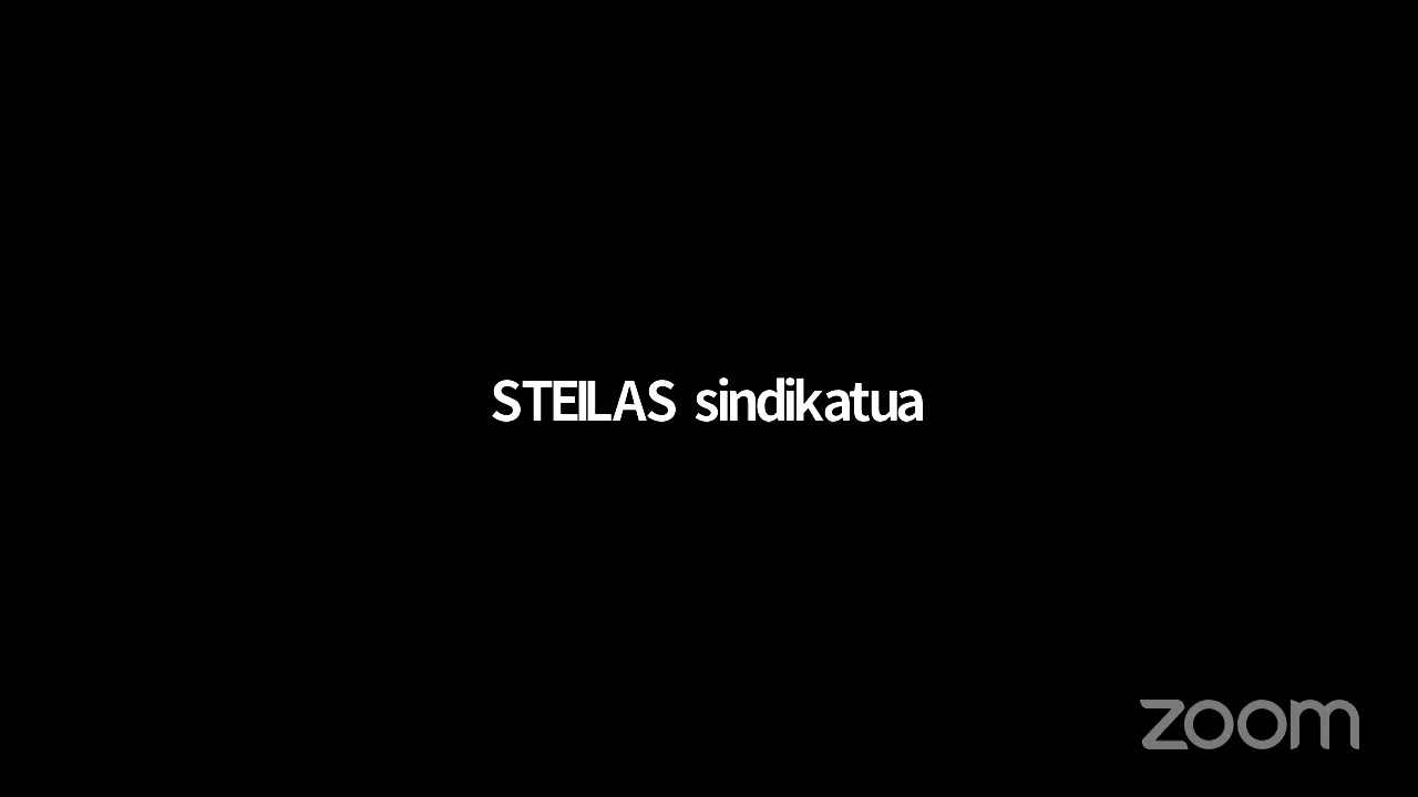STEILAS sindikatua. Azaroak 25 formazio saioa