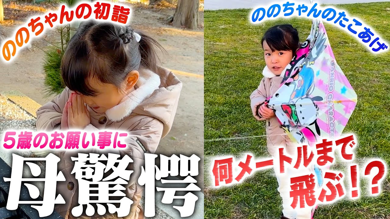 【お正月】ひーちゃんと初詣 & 目標は天まで!?たこあげ初挑戦！