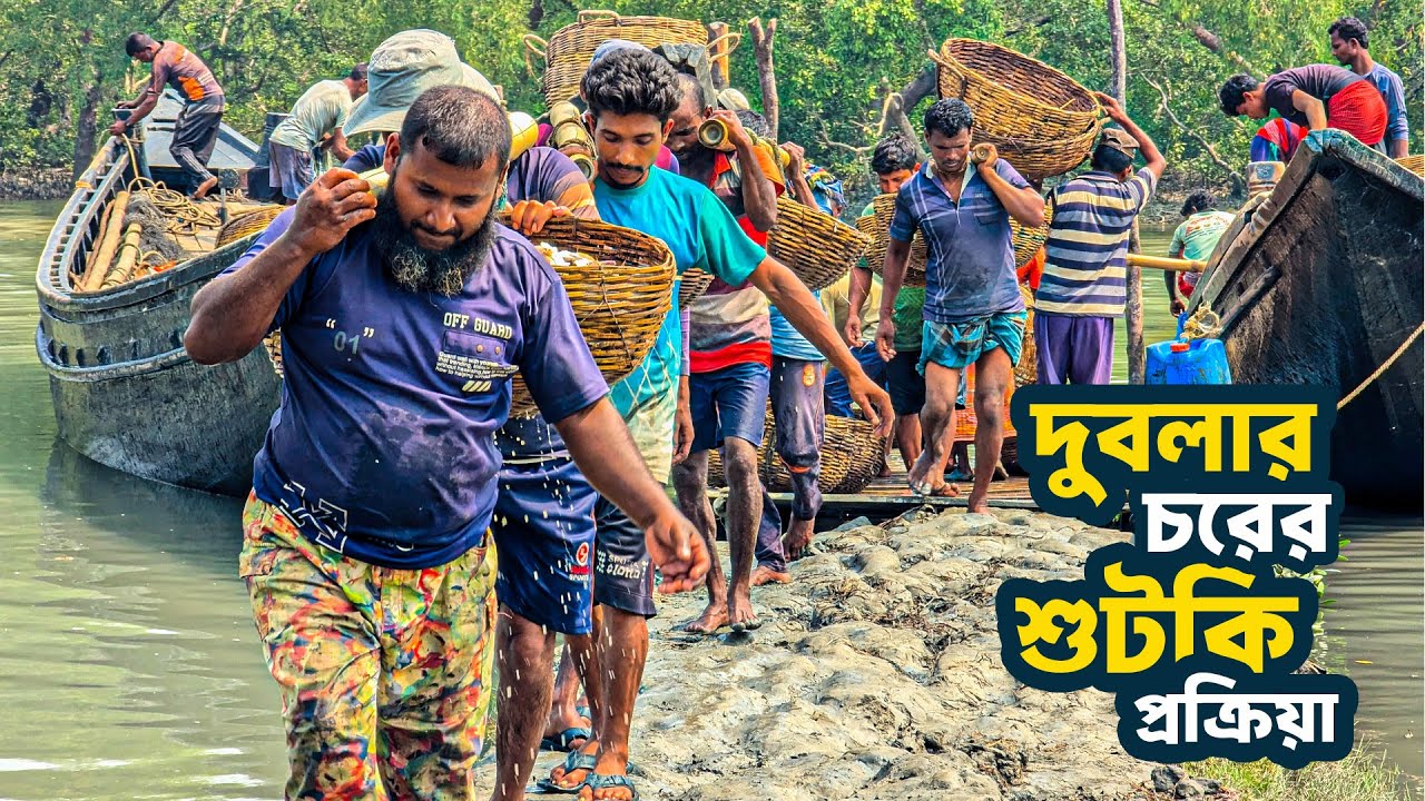 সাগর থেকে কাঁচা মাছ এনে আমাদের শুটকি বানানোর প্রক্রিয়া | Fish Dry process in Sundarban । I am Biswas