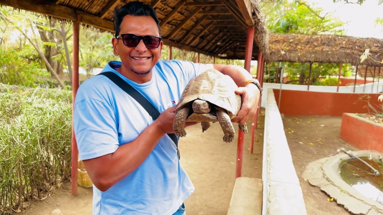 Playing with Tanzanian Tortoises
