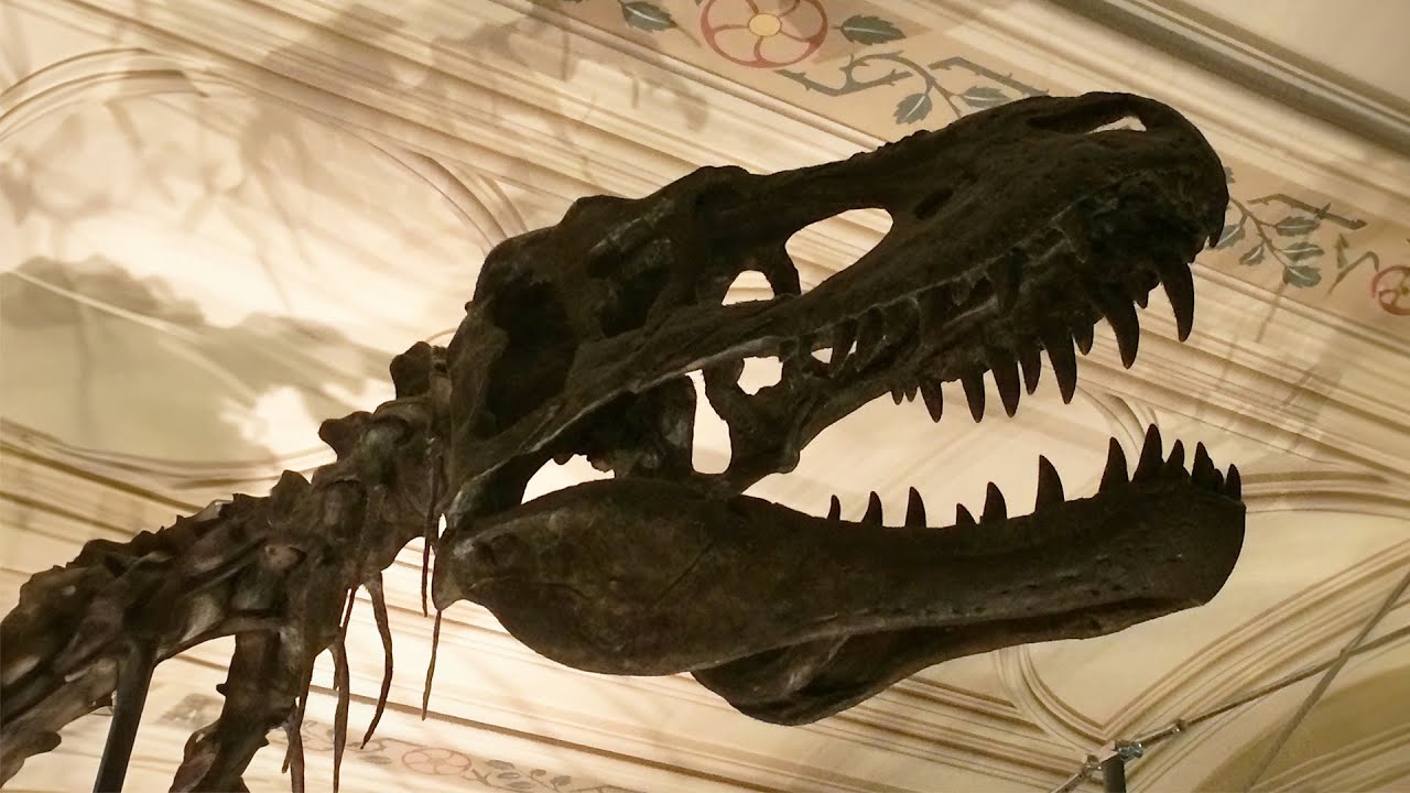 The Museum Discoveries You Never See (4K Documentary)