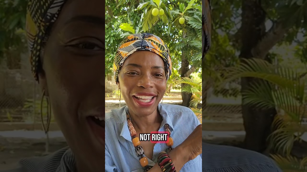 Part 2 - Why is there a disdain for Black Americans by some Africans and Caribbeans?