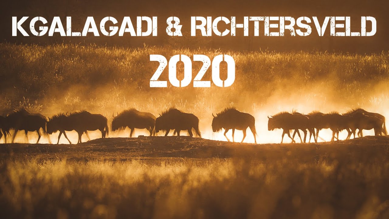 Kgalagadi Transfrontier Park and Richtersveld Transfrontier Park 2020 trailer.