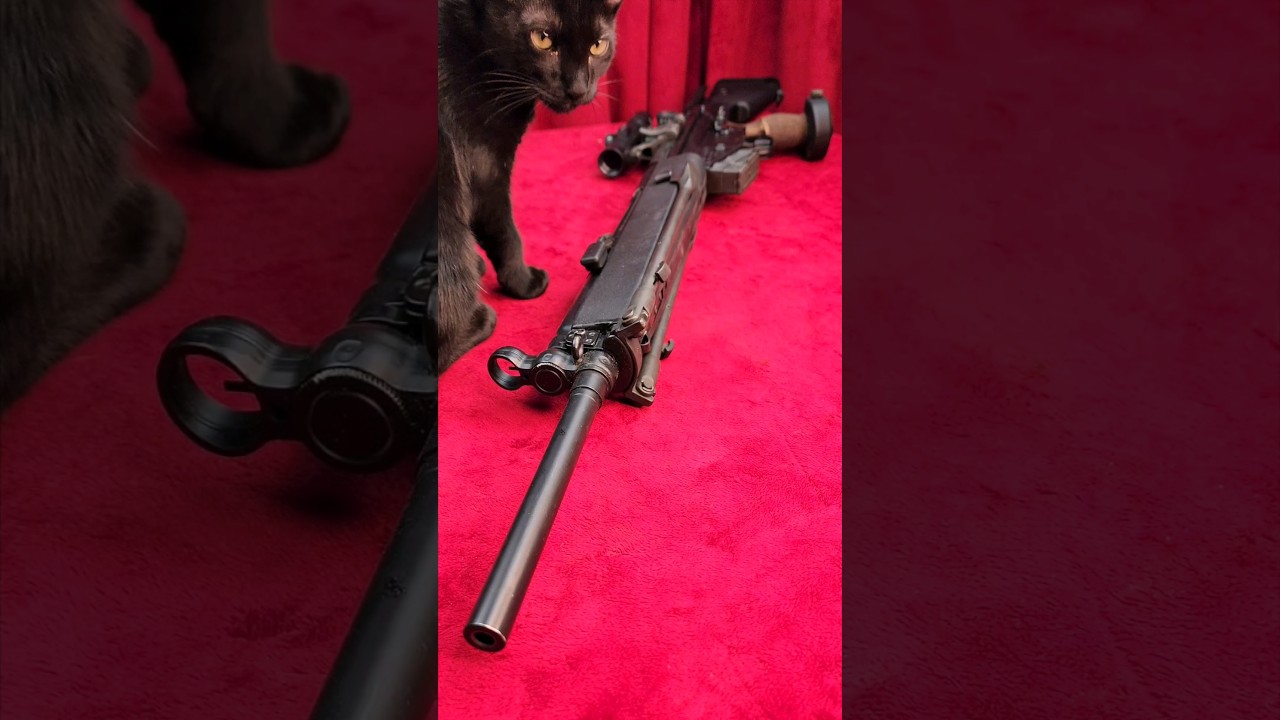 HK SR9 PSG-1 FCG MSG90 Stock Hensoldt Z24 At The Range