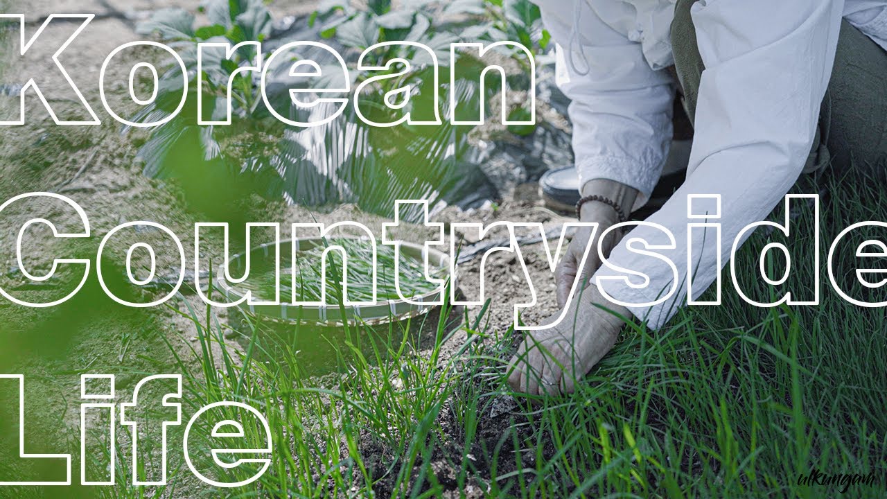 Making chive bibimbap | Korean countryside life [eng]