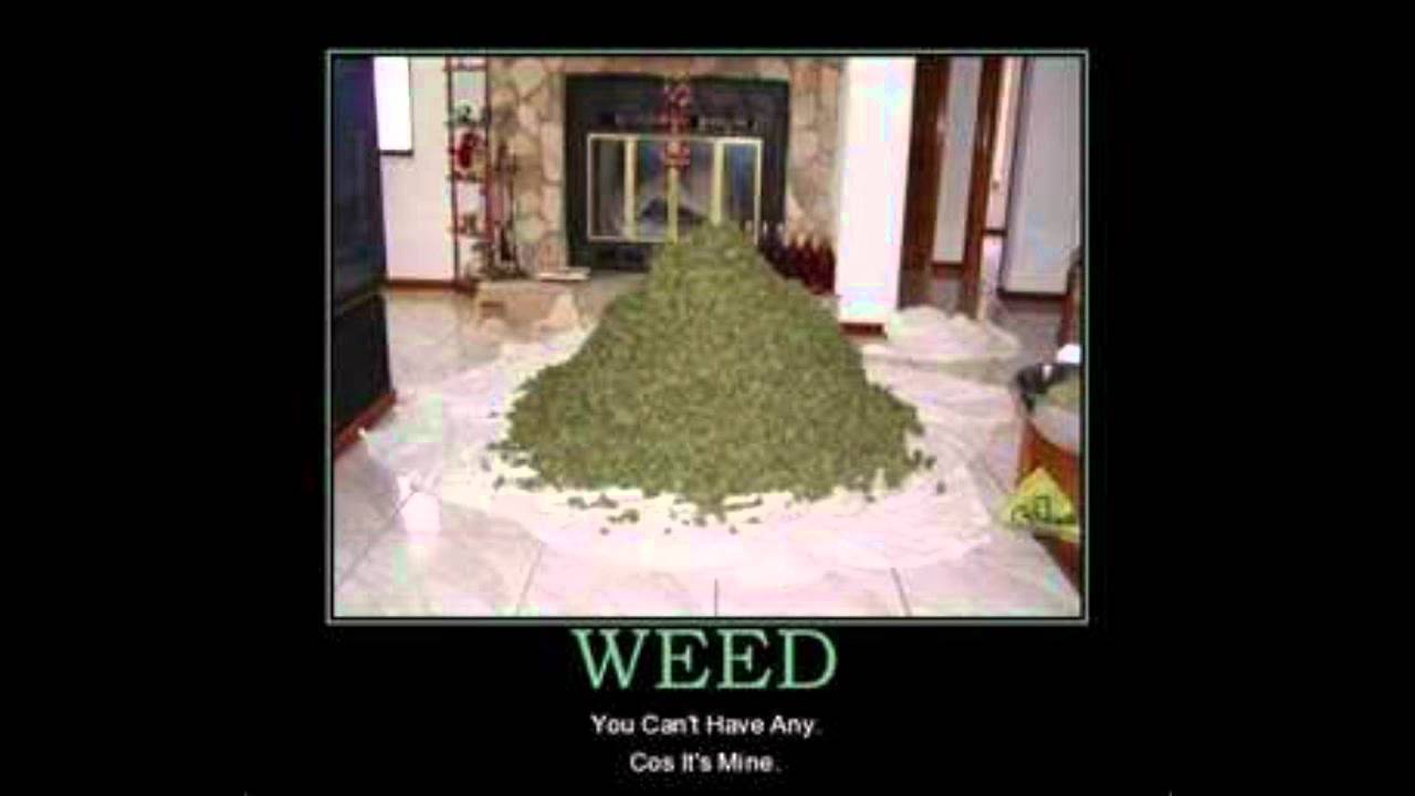 PUT IT IN A DUTCH 420