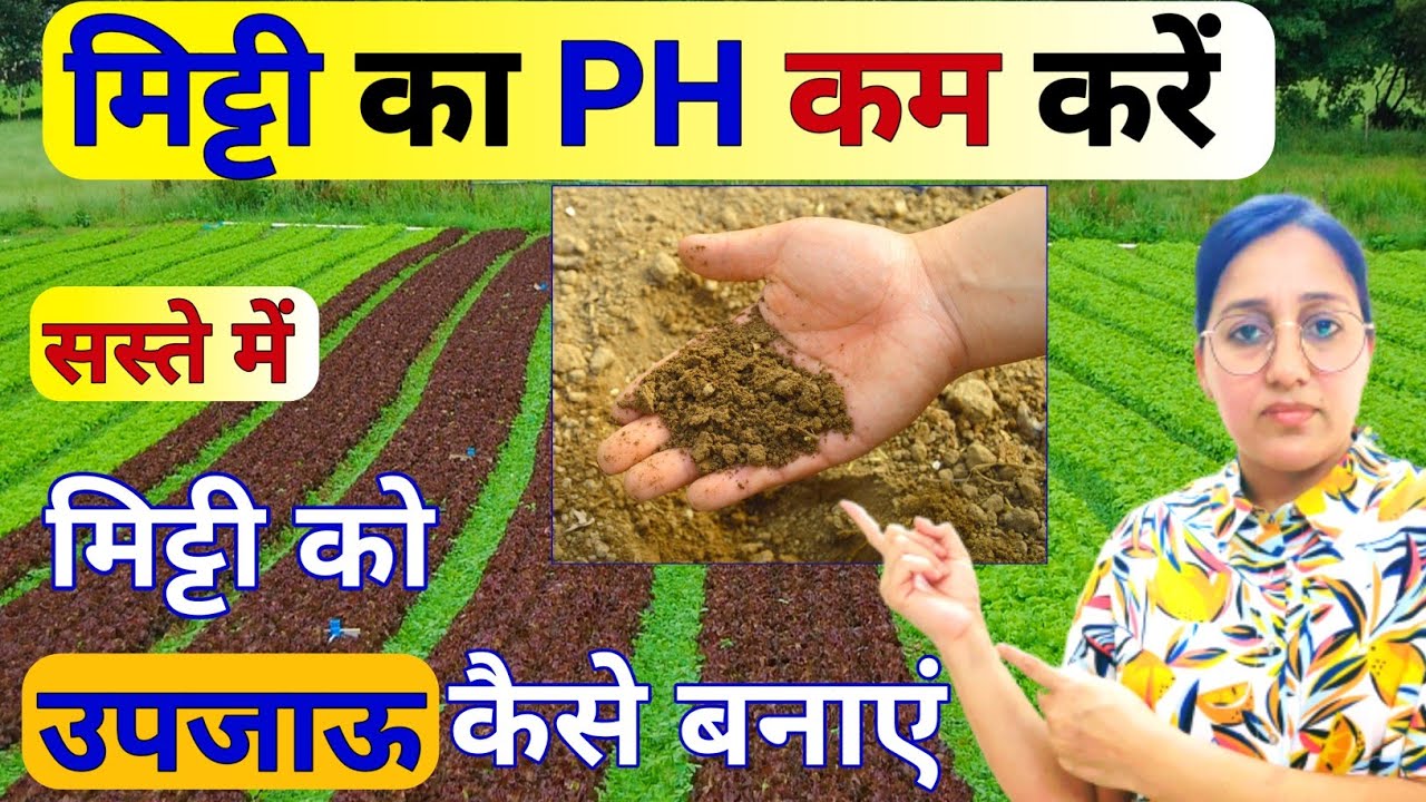 मिट्टी के PH मान में सुधार | Alkaline Soil Treatment | gypsum fertilizer | Soil ph | acidic soil