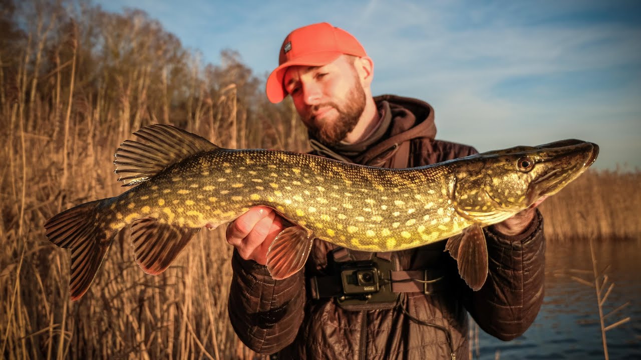 Jerken im Winter auf Hechte im Natursee