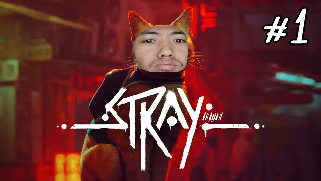 STRAY #1: Hóa Thân Thành Mờ Èo