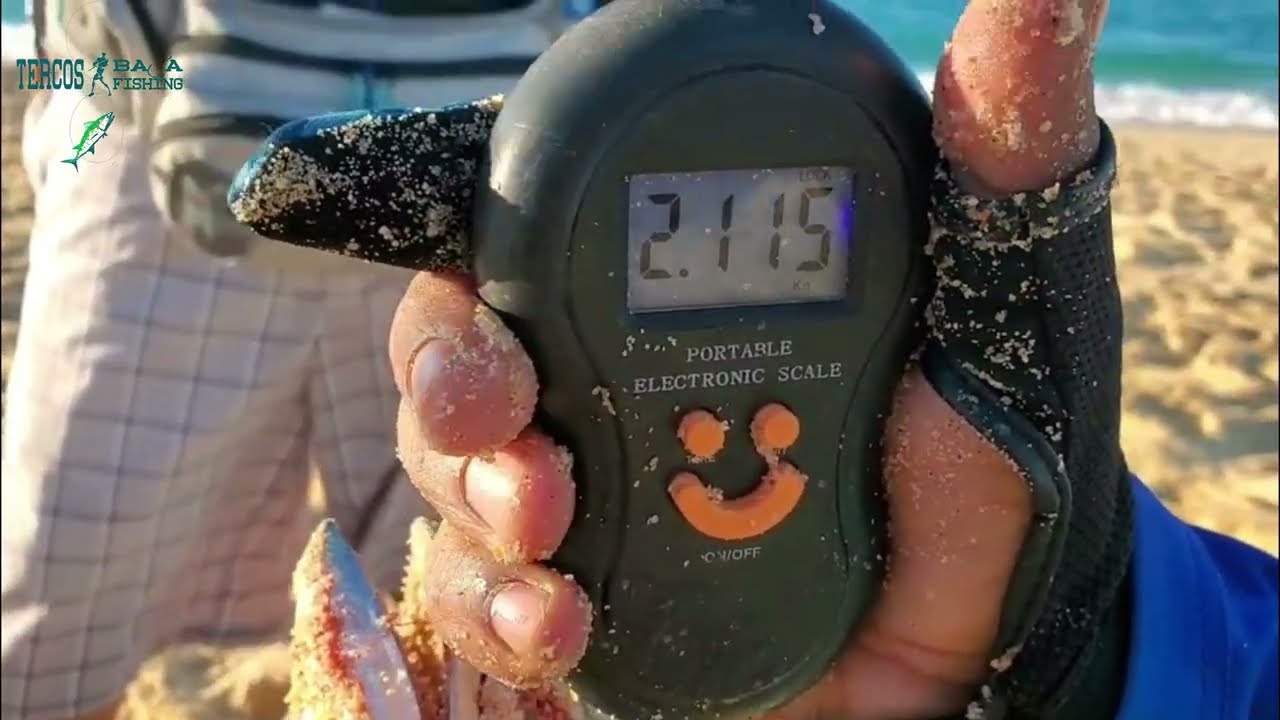 TE HA TOCADO UN DIA DE PESCA ASI?