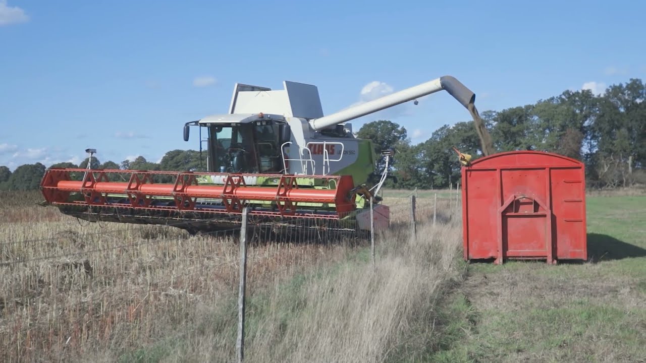 DAVA Hemp Farming Stenalt