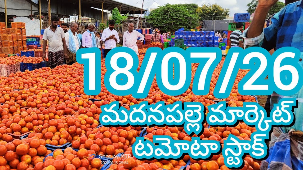 07-26-18 Madanapalle Tomato Market Price Today || Today&rsquo;s Tomato Market Rate in Madanapalle #today