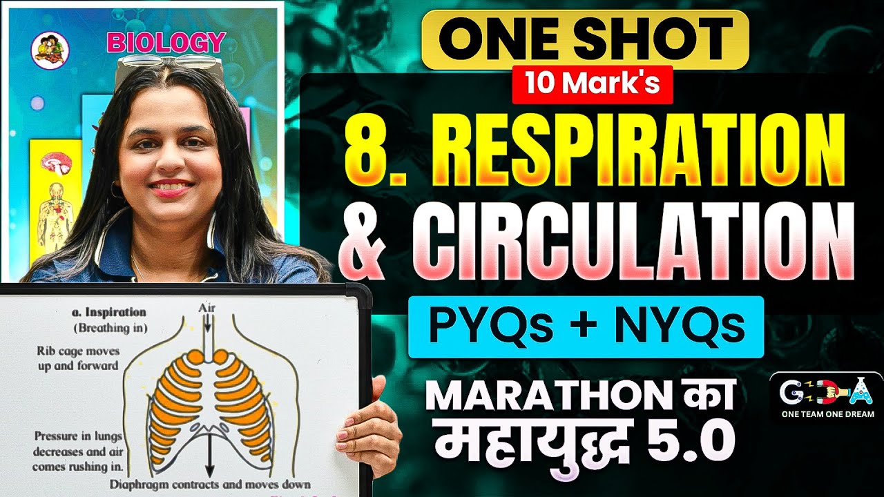 8.Respiration & Circulation | ONE SHOT 10 Mark's + PYQs + NYQs🔥Marathon का महायुद्ध 🔥ASC