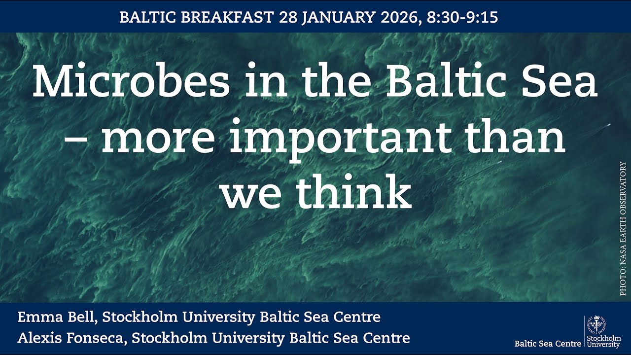 Baltic Breakfast: Microbes in the Baltic Sea – more important than we think