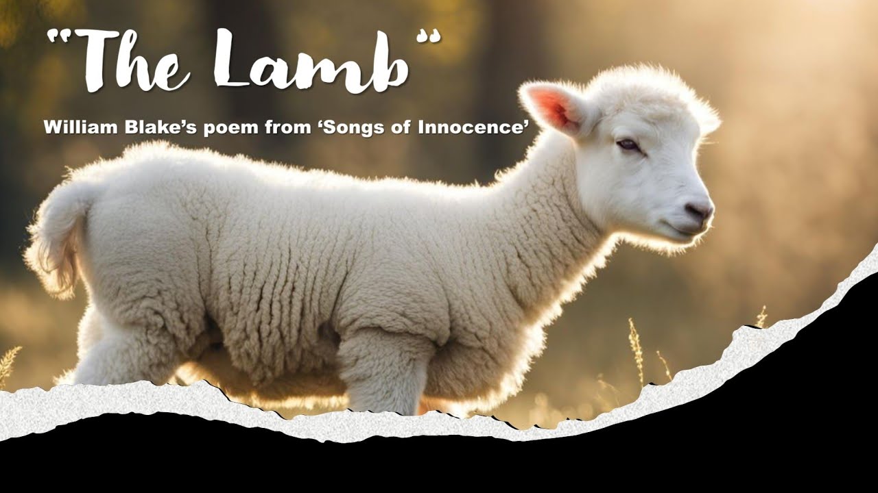 William Blake's poem "The Lamb" | Songs of Innocence |  Line-by-Line Explanation | Jesus Christ