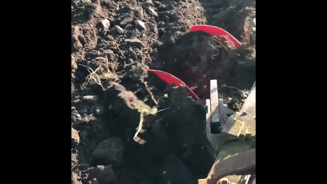 Zetor 4011, orba, zkouška pluhu Ph1-434 po opravě | próba pługa po naprawie, zetor jesień orka pola