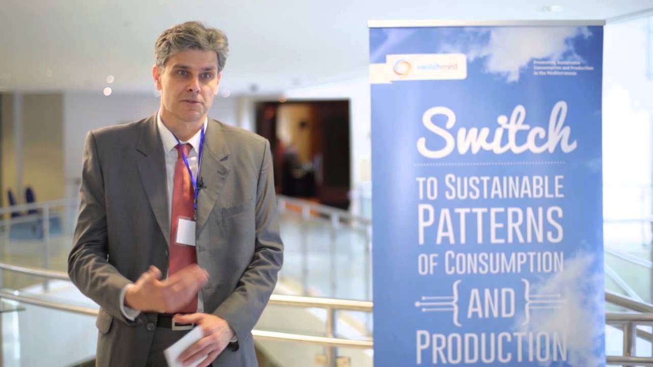 Mr. Stéphane Halgand (DG DEVCO - European Commission)