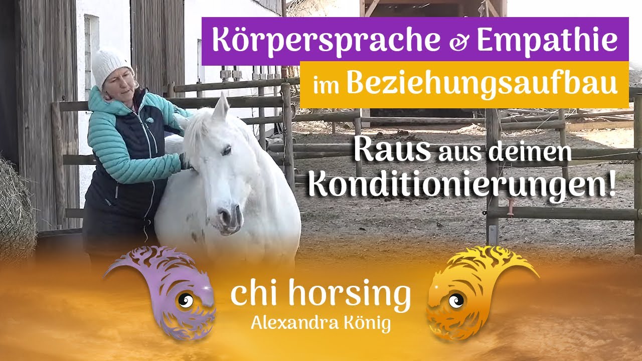 Pferde- und Kinderseelen - Wir können so viel kreativer werden, wenn wir Konditionierungen verlassen
