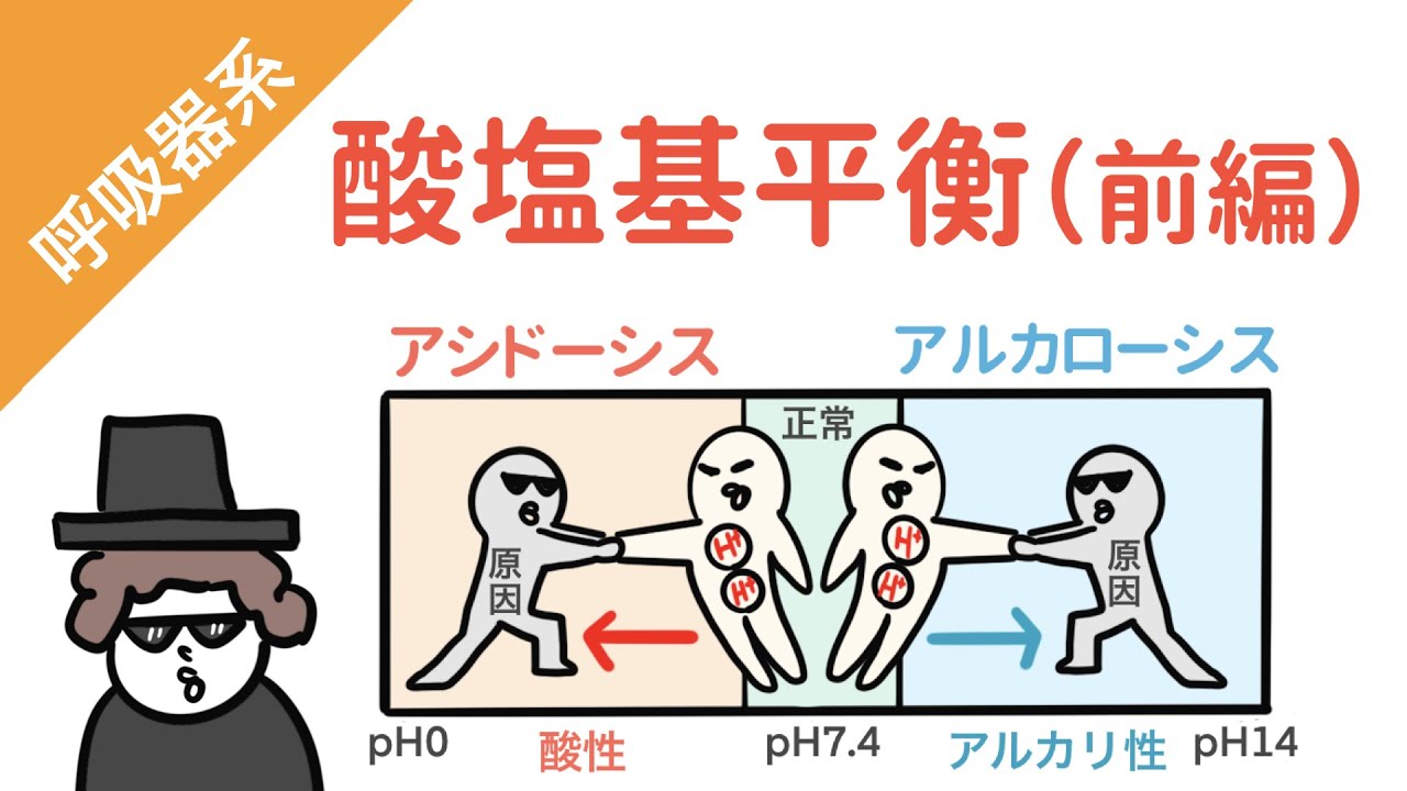 酸塩基平衡（前編）イラスト図解