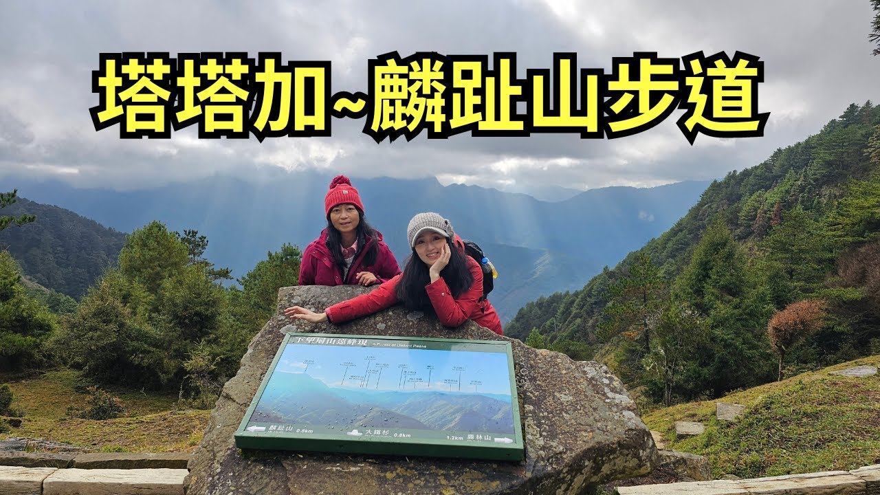 塔塔加之麟趾山步道O型繞一圈｜｜上東埔停車場⇰排雲登山服務中心⇰大鐵杉3岔路口⇰麟趾山口⇰麟趾山鞍部⇰麟趾山三角點⇰玉山登山口⇰上東埔停車場