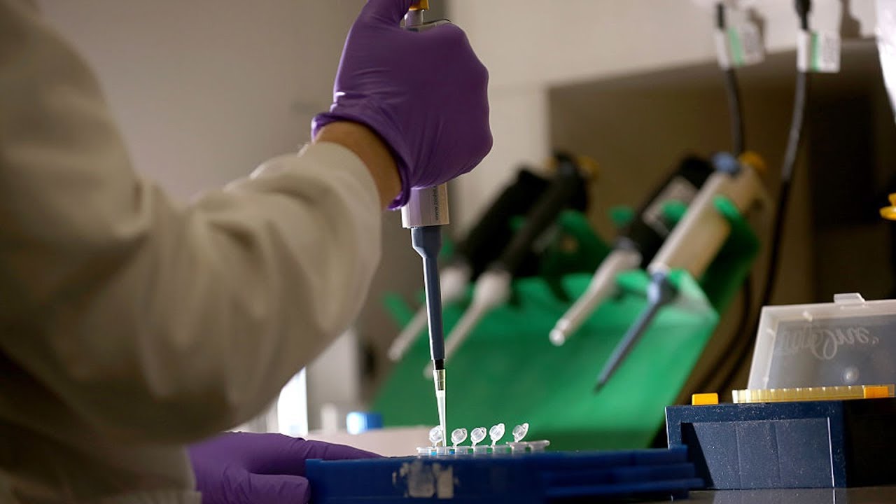 How We Can Make Genetic Super Humans