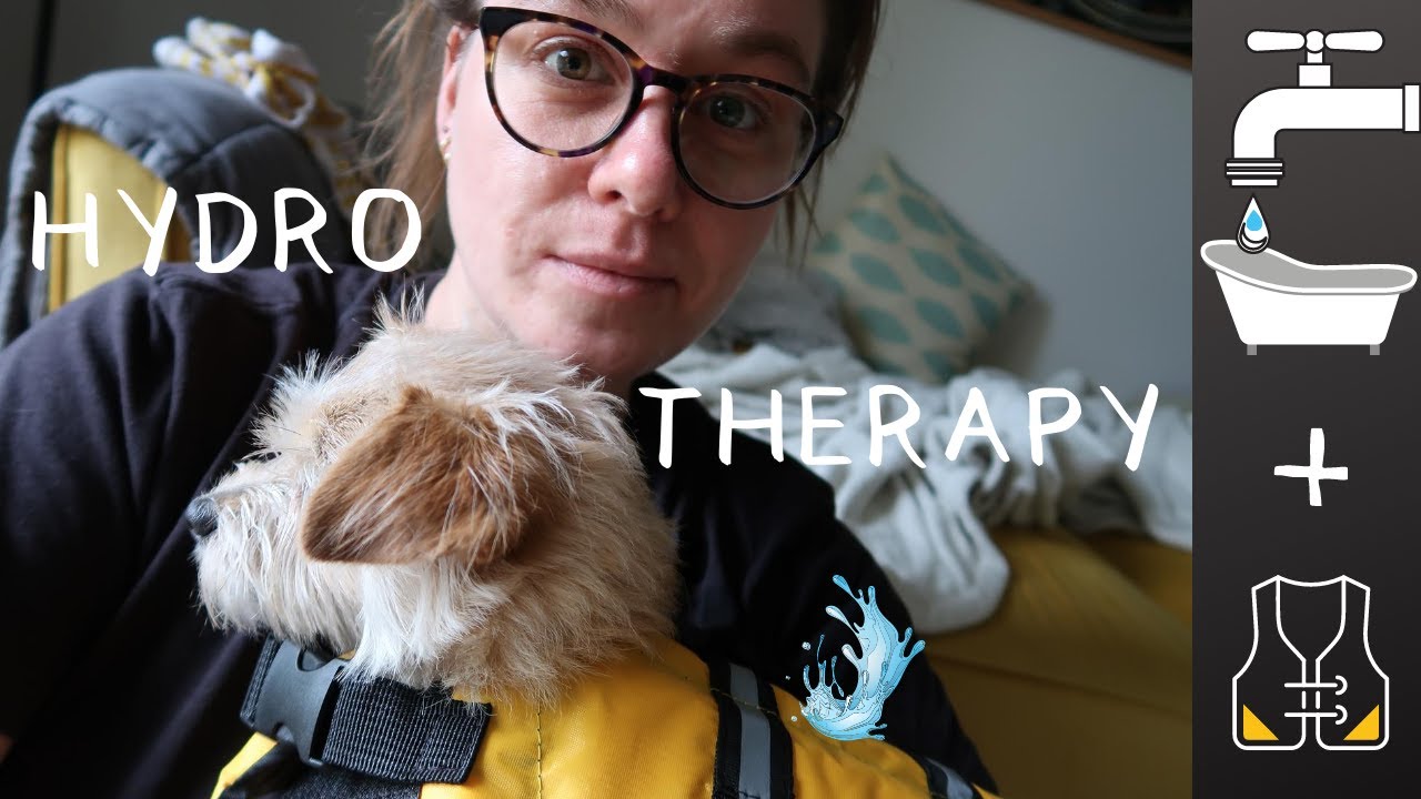AT HOME SMALL DOG WATER THERAPY in a bathtub at a Katie Pace // hydrotherapy for luxating patella