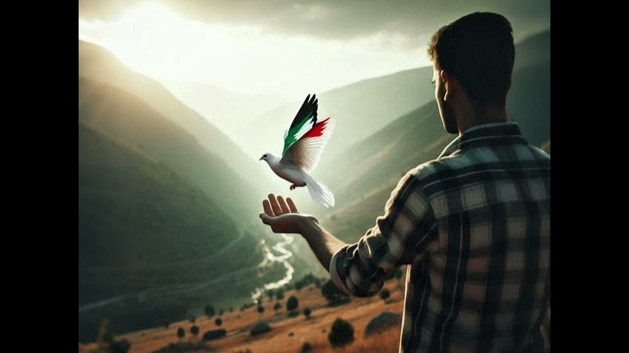 Grup HemDem - G A Z Z E