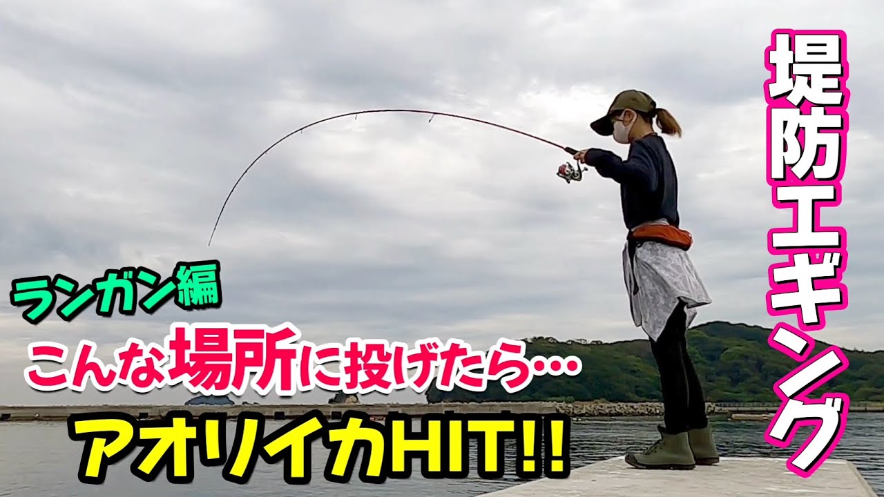 【エギング】アオリイカを狙ってランガンしてみたら、こんな場所で釣れました♪