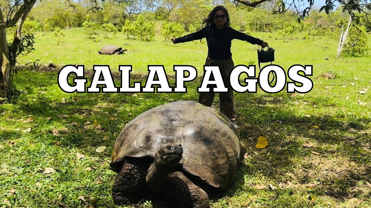 Face to Face With a 100-Year-Old Giant Tortoise in the Galápagos! (Galapagos Adventure Part 1) 