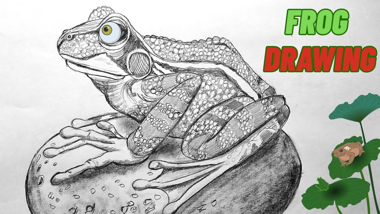 "How to Draw a Realistic Frog ✏️🐸 | Eye-Catching Pencil Art Tutorial"رسم ضفدع واقعي بالرصاص